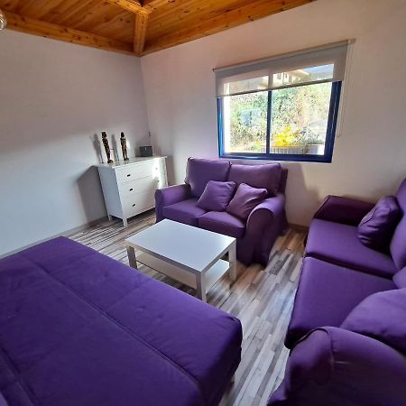 Tenerife Apartment 100M2 Casa De Don Quijote With A Terrace Of 100M2 With A View Of The Ocean And Teide Volcano And A Garden Of 600M2 イコー・デ・ロス・ビノス エクステリア 写真