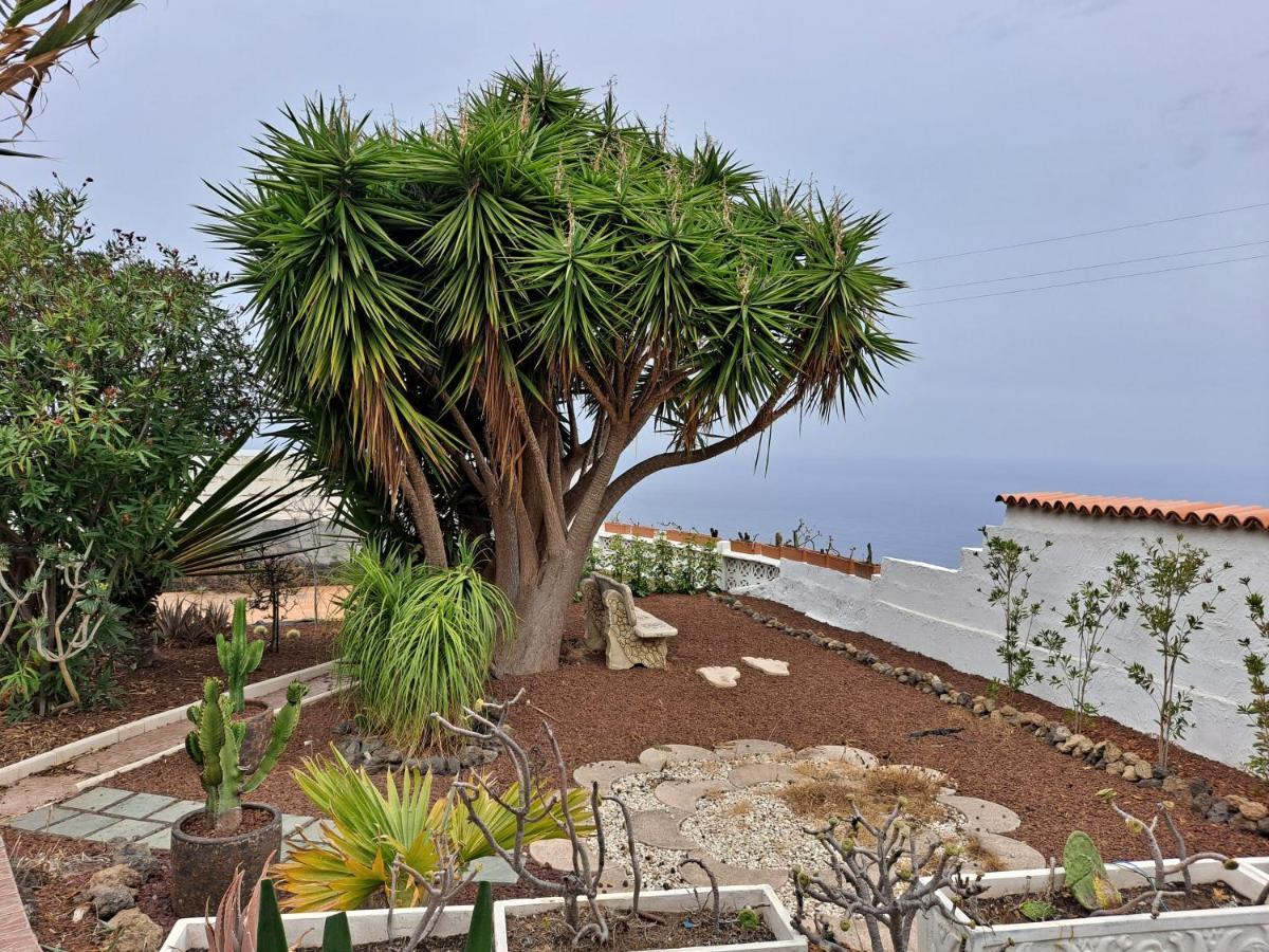 Tenerife Apartment 100M2 Casa De Don Quijote With A Terrace Of 100M2 With A View Of The Ocean And Teide Volcano And A Garden Of 600M2 イコー・デ・ロス・ビノス エクステリア 写真
