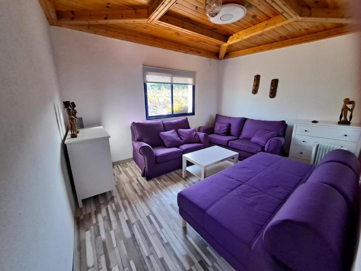 Tenerife Apartment 100M2 Casa De Don Quijote With A Terrace Of 100M2 With A View Of The Ocean And Teide Volcano And A Garden Of 600M2 イコー・デ・ロス・ビノス エクステリア 写真