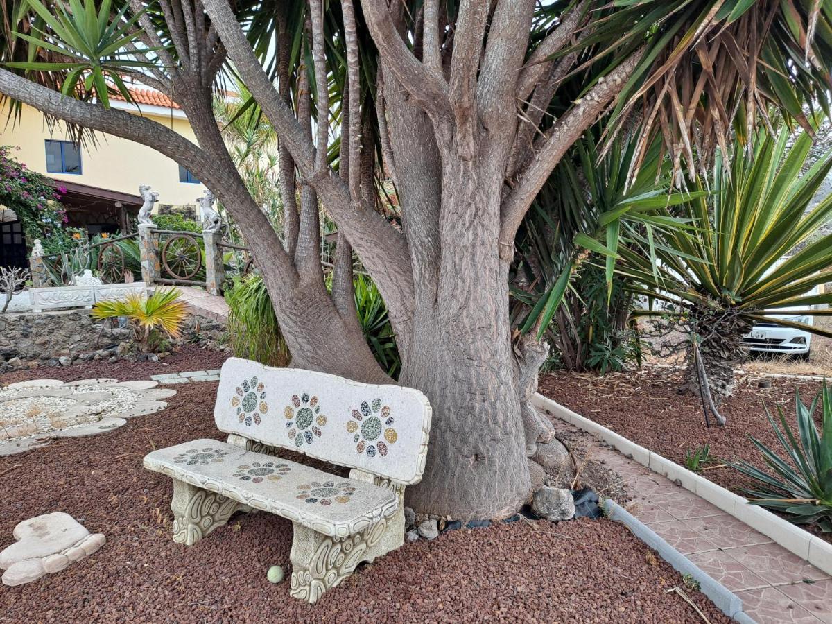 Tenerife Apartment 100M2 Casa De Don Quijote With A Terrace Of 100M2 With A View Of The Ocean And Teide Volcano And A Garden Of 600M2 イコー・デ・ロス・ビノス エクステリア 写真