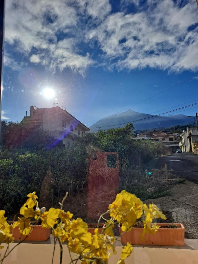 Tenerife Apartment 100M2 Casa De Don Quijote With A Terrace Of 100M2 With A View Of The Ocean And Teide Volcano And A Garden Of 600M2 イコー・デ・ロス・ビノス エクステリア 写真