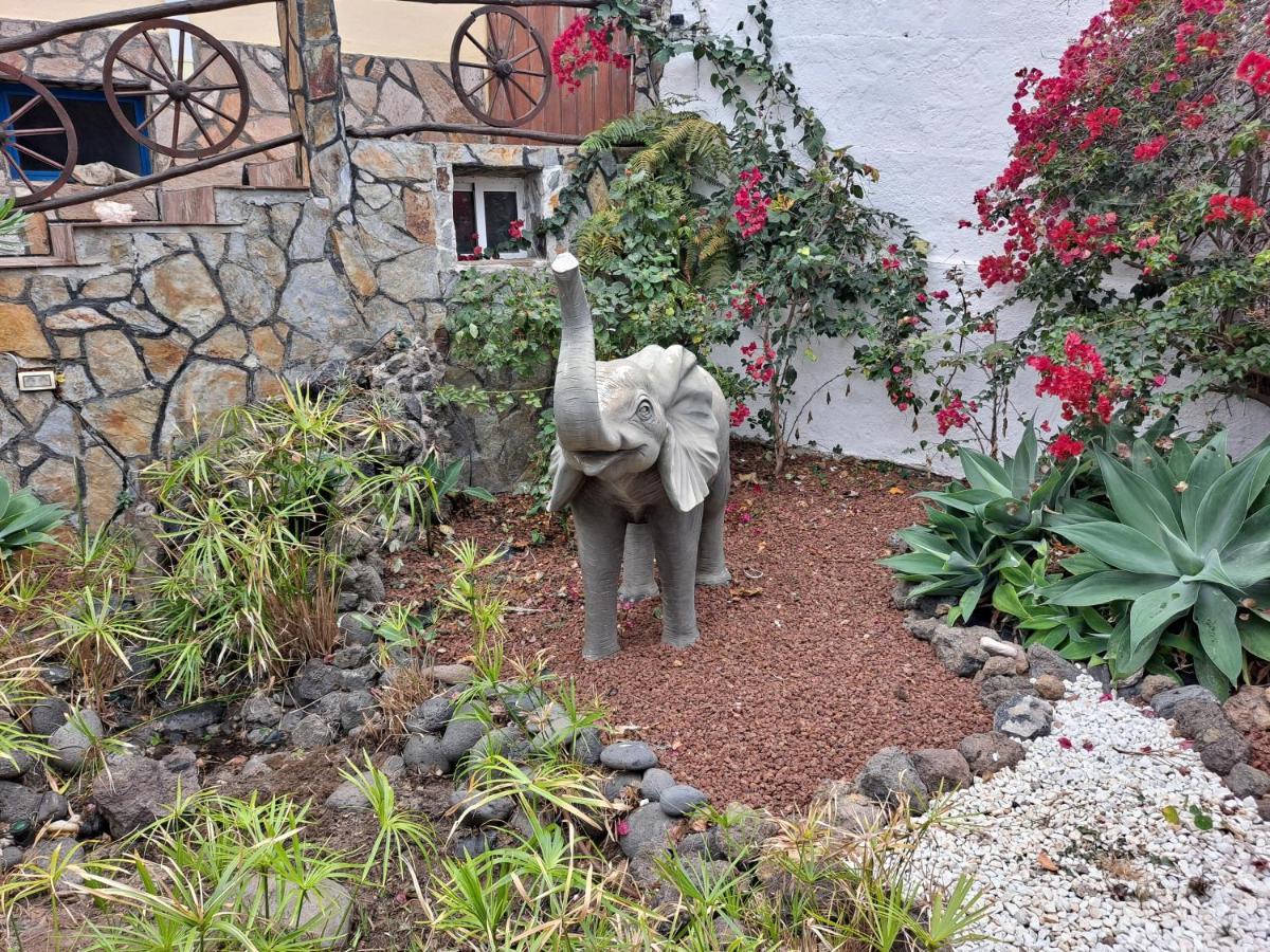 Tenerife Apartment 100M2 Casa De Don Quijote With A Terrace Of 100M2 With A View Of The Ocean And Teide Volcano And A Garden Of 600M2 イコー・デ・ロス・ビノス エクステリア 写真