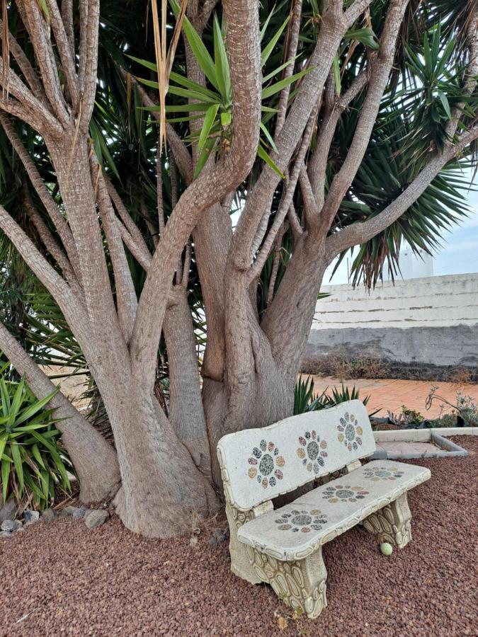 Tenerife Apartment 100M2 Casa De Don Quijote With A Terrace Of 100M2 With A View Of The Ocean And Teide Volcano And A Garden Of 600M2 イコー・デ・ロス・ビノス エクステリア 写真